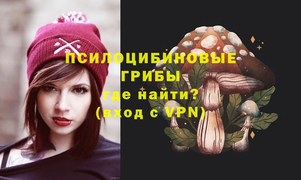 не бодяженный Инсар