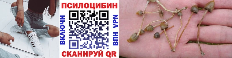 Галлюциногенные грибы MAGIC MUSHROOMS  хочу   Шахунья 