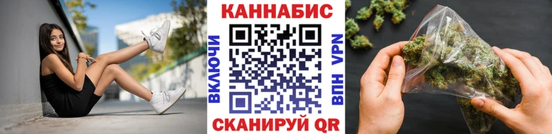 Канабис индика  Шахунья 